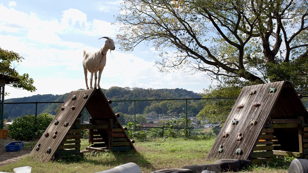 令和7年度園児募集要項