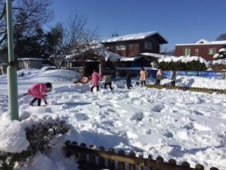 わくわく広場・どんぐり広場　中止のお知らせ