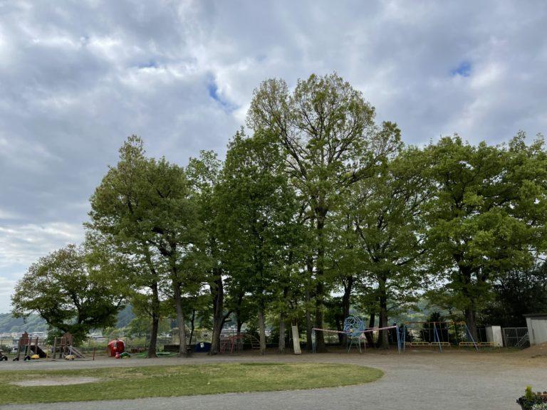 お待たせしました♪【未就園児】わくどんひろばのお知らせ【４月２３日（火）スタート！！】